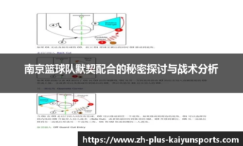 开云体育
